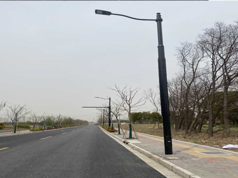 乐平市上海综合杆 太阳能路灯工程